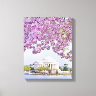 Lienzo Los E.E.U.U., Washington DC, cerezo en la