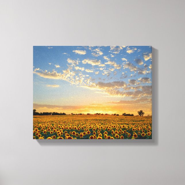 Lienzo Los girasoles al atardecer (Anverso)