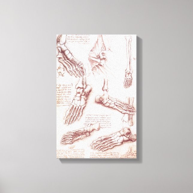 Lienzo Los huesos de pies de anatomía humana de Leonardo  (Anverso)