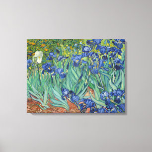 Lienzo Los iris de Van Gogh envolvieron la lona