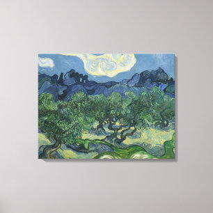 Lienzo Los Olivos - Van Gogh