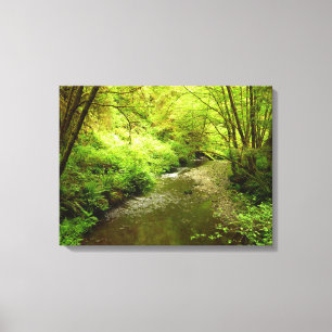 Lienzo Lost Man Creek I en el Parque Nacional Redwood