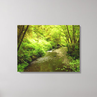 Lienzo Lost Man Creek I en el Parque Nacional Redwood