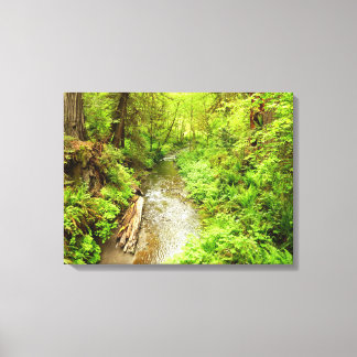 Lienzo Lost Man Creek II en el Parque Nacional Redwood