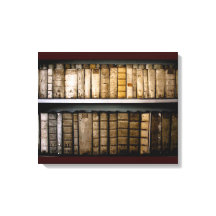 Lotes de Vellum del siglo XVII Libros antiguos