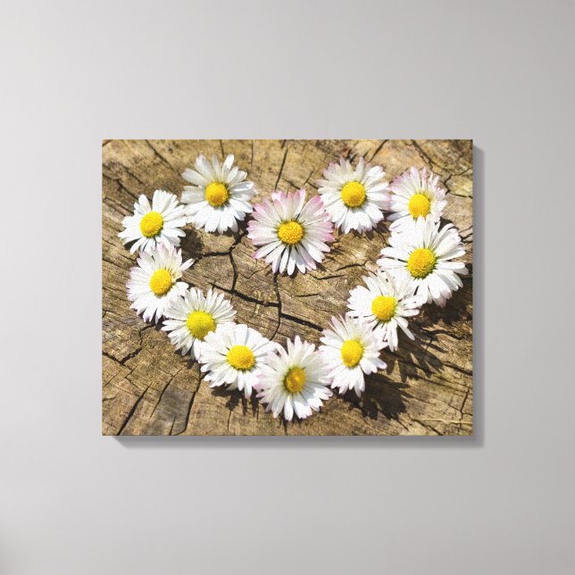 Lienzo Love Heart Daisies (Anverso)