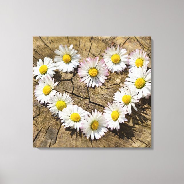 Lienzo Love Heart Daisies (Anverso)