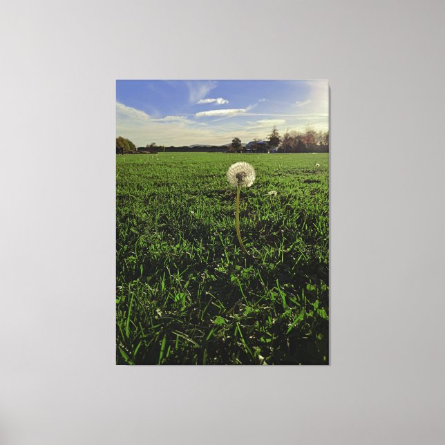 Lienzo Löwenzahn (Anverso)