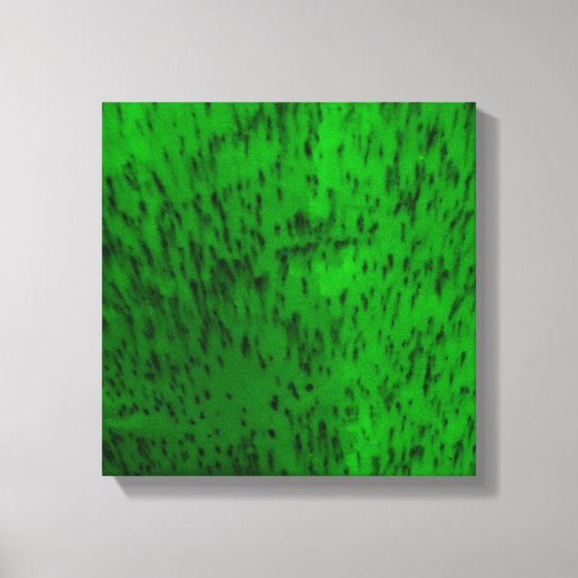 Lienzo Loza verde lima (Anverso)