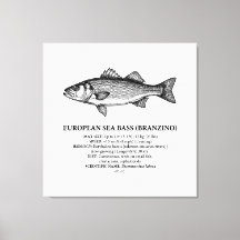 Lubina Branzino Vintage 