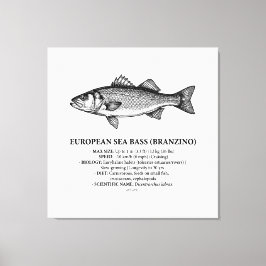 Lienzo Lubina Branzino Vintage