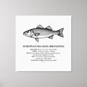 Lienzo Lubina Branzino Vintage 