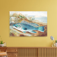 Lubina por S.A. Kilbourne, Pescado Vintage