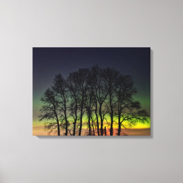 Lienzo Luces del Norte | Manitoba Canadá Grande Pointe (Anverso)