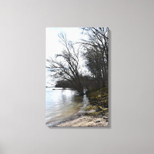 Lienzo Lugares perdidos , árboles viejos en la orilla del