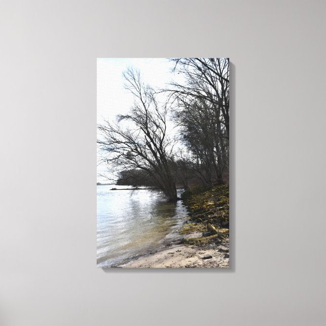 Lienzo Lugares perdidos , árboles viejos en la orilla del (Anverso)