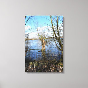 Lienzo Lugares perdidos , árboles viejos en la orilla del