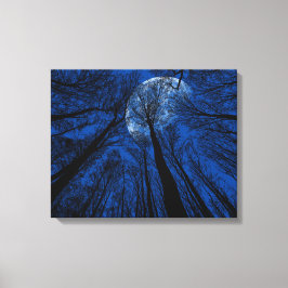 Lienzo Luna en el cielo nocturno