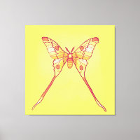 Luna Moth Naranja Amarillo Bruja insecto mágico