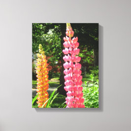 Lienzo Lupines en un jardín de cabañas - Viñetería de Mar