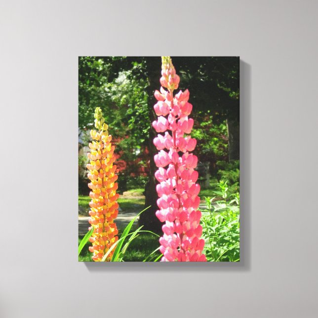 Lienzo Lupines en un jardín de cabañas - Viñetería de Mar (Anverso)