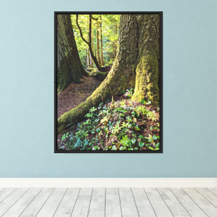 Lienzo Lush Evergreen Forest Photographic