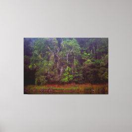 Lienzo LUSH RAINFOREST 40x60