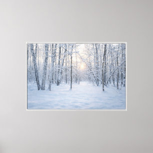 Lienzo Luz de invierno en un tranquilo bosque de abedules