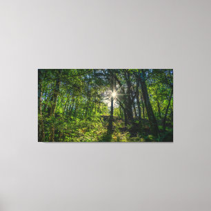 Lienzo Luz en el bosque