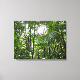Lienzo Luz solar a través de la selva tropical con cubier