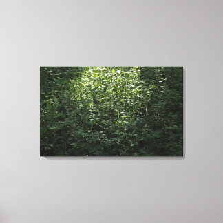 Lienzo Luz solar de Woodland 02