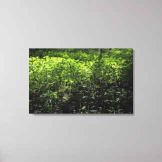 Lienzo Luz solar de Woodland 03