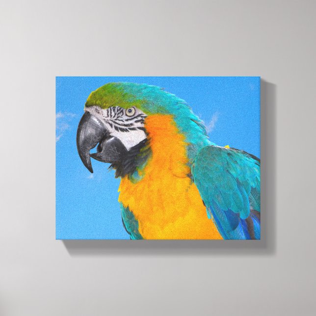 Lienzo Macao azul y amarillo (Anverso)