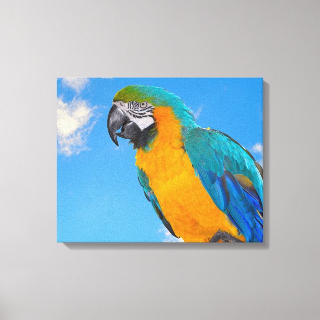 Lienzo Macao azul y amarillo (Anverso)