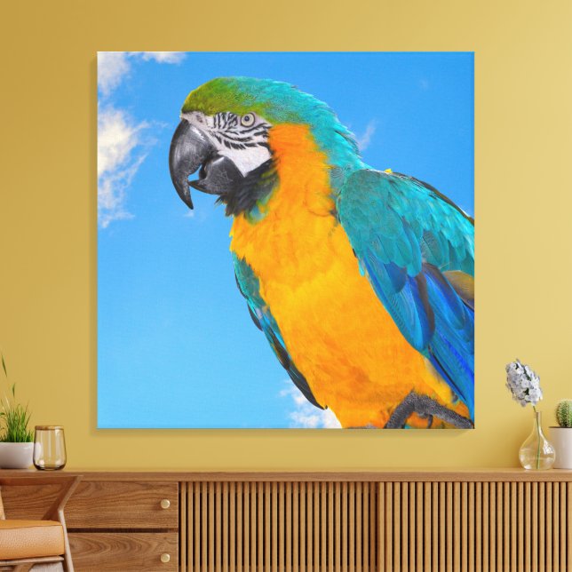 Lienzo Macao azul y amarillo (Insitu (Sala de estar))