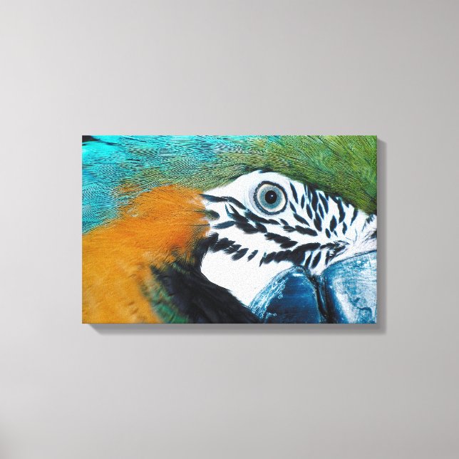 Lienzo Macaw azul-y amarillo (Anverso)