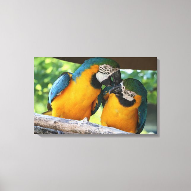 Lienzo Macaws (Anverso)