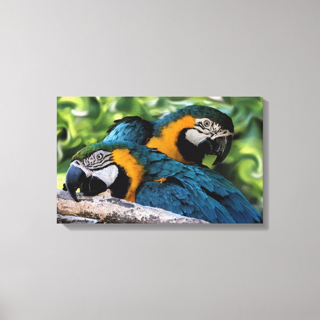 Lienzo Macaws (Anverso)
