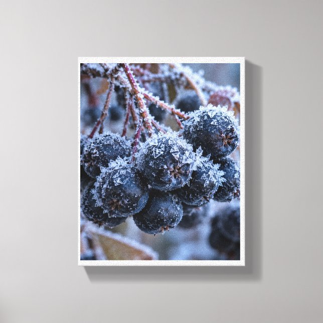 Lienzo Macro de escarcha de Aronia (Anverso)