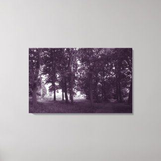 Lienzo Madera, Bute Park Cardiff - BW morado