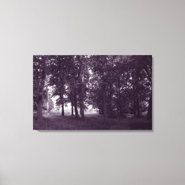 Lienzo Madera, Bute Park Cardiff - BW morado (Anverso)