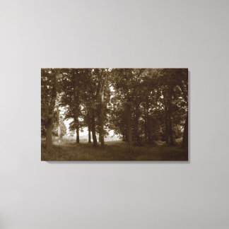 Lienzo Madera, Bute Park Cardiff - Sepia tonificante