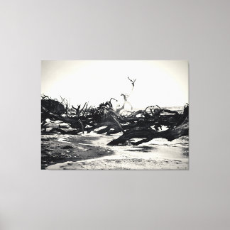 Lienzo Madera flotante en una playa desolada
