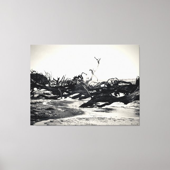 Lienzo Madera flotante en una playa desolada (Anverso)