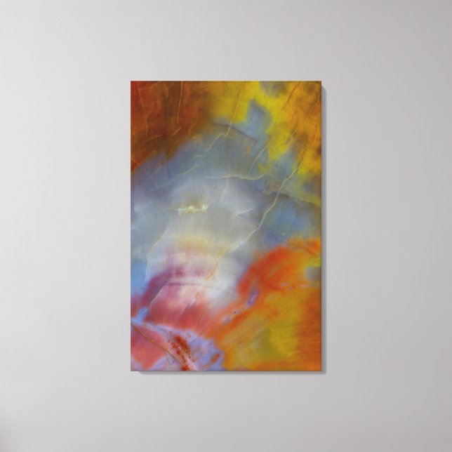 Lienzo Madera petrificada abstracta primer plano (Anverso)