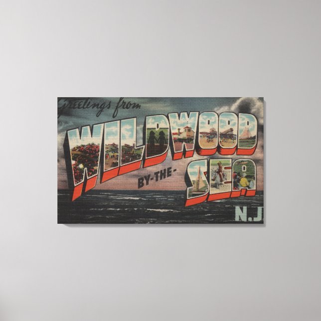 Lienzo Madera silvestre en el mar, Nueva Jersey 3 (Anverso)