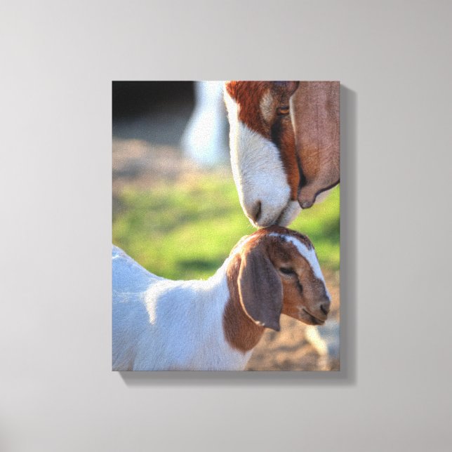 Lienzo Madre cabra y bebé (Anverso)