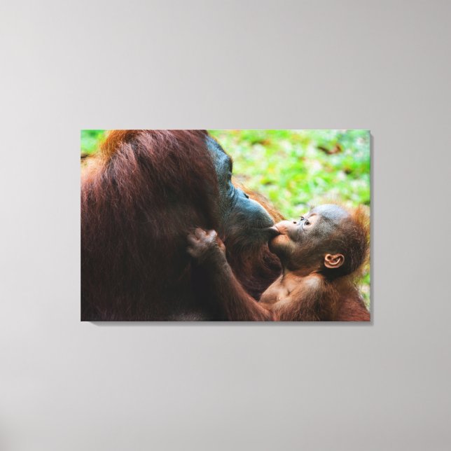 Lienzo Madre de orangután y bebé (Anverso)