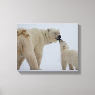 Lienzo Madre del oso polar con Cub