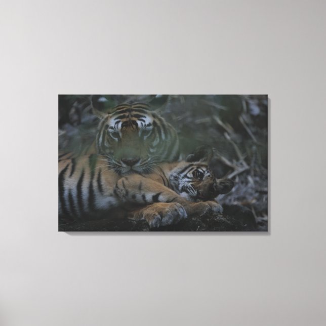 Lienzo Madre del tigre de Bengala con cachorro (Anverso)